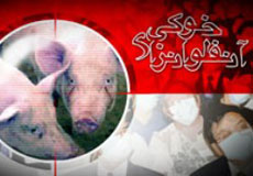 سازمان بهداشت جهاني از کاهش موارد آنفلوانزاي خوکي در جهان خبر داد