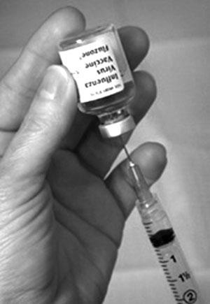 عوامل شکست در واکسیناسیون طیور