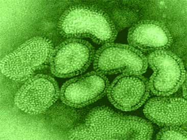 تأثیر هومیوپاتی برای پیشگیری و بهبود آنفلوآنزای A