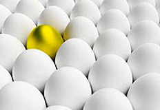 تخم مرغ گران نيست؛ قيمت به تعادل رسيده است