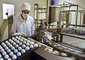 2.5 هزار تن تخم مرغ امسال در قاين توليد مي‌شود