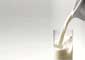 اجراي طرح بهبود كيفيت شير خام در گاوداري‌هاي لردگان