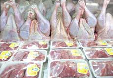 اعتقادي به واردات گوشت مرغ نداريم