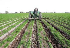 چراي غيرقانوني دام در عرصه‌هاي منابع طبيعي جلوگيري مي‌شود
