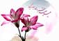 عید قربان مبارک باد