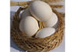 نياز تخم‌مرغ آذربايجان غربي بيش از 28000 تن است