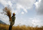 40 هزار تن گندم در استان فارس صرفه‌جويي شده است