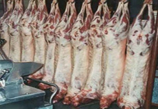 امحاي بيش از نيم تن گوشت آلوده در نهبندان
