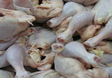 ساماندهی بازار گوشت مرغ در ماه مبارک رمضان