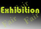 نمایشگاه های خارجی 2011 - 2012