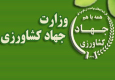 نرخ شیر دامداری‌های صنعتی و سنتی یکسان نیست