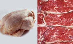 تولید 5 هزار تن گوشت مرغ در خراسان شمالی