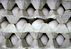 تشکیل 810 پرونده قاچاق / تولید سالانه 133 تن تخم مرغ