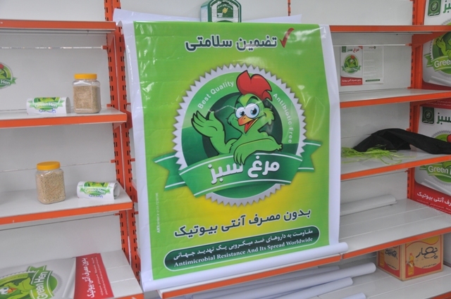 معاون سازمان دامپزشکی خبر داد : تولید مرغ سبز در 15 استان کشور