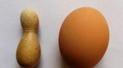 مرغی با تخم های غیر طبیعی شگفتی مردم آبدانان را بر انگیخت