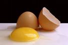 تخم مرغ عسلی نخورید!