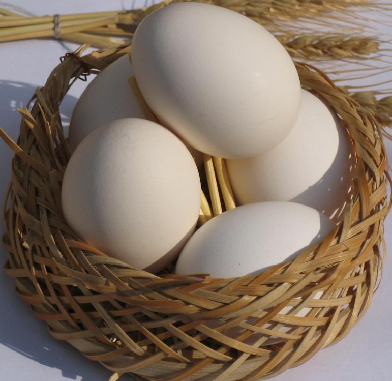 تخم‌مرغ‌هاي دپو شده صادر مي‌شوند