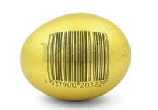 تشکیل کارگروه استانداردسازی تخم‌مرغ