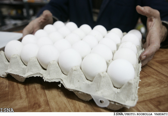 تخم مرغ در بازار وضعیت خوبی ندارد