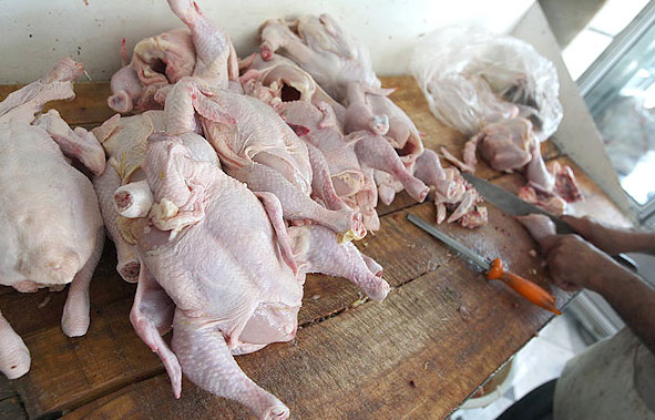 تولید یك میلیون و 900هزار تن مرغ گوشتی در سال جاری