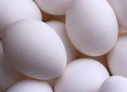 مکزیک ظرفیت واردات تخم مرغ خود از آمریکا را اعلام کرد