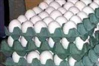صادرات تخم‌مرغ ایران حرفه‌ای شد/ مسلمانان به خرید تخم‌مرغ ایران تمایل بیشتری دارند