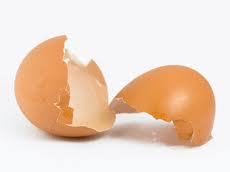 بررسي كارايي پوسته تخم مرغ به عنوان جاذب طبيعي در حذف رنگ راكتيو قرمز198 از محلولهاي آبي