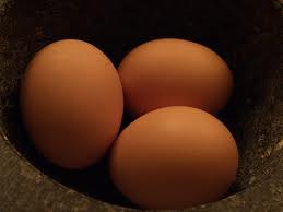 بیش از 34 درصد تخم مرغ استان مرکزی در زرندیه تولید می شود