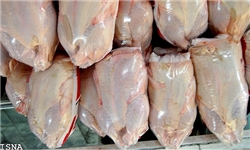 ظرفیت تولید 2.5 میلیون تن گوشت مرغ در کشور وجود دارد