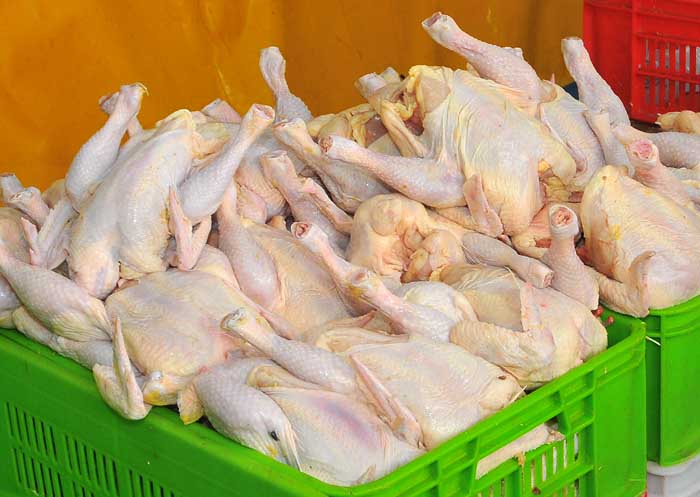 تولید گوشت مرغ در بندرانزلی هشت درصد افزایش یافت