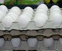 لغو ممنوعیت صادرات تخم‌مرغ با اخذ عوارض 40 درصدی