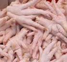 اردبیل قطب تولید جوجه یک روزه کشور است/صادرات 504 تن پای مرغ