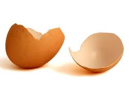 كاربرد پوسته تخم مرغ به عنوان جاذب طبيعي در حذف رنگ راكتيو قرمز 123 از فاضلاب سنتتيك نساجي