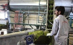 افتتاح اولین کارخانه تولید خوراک دام و طیور استان مرکزی در اراک