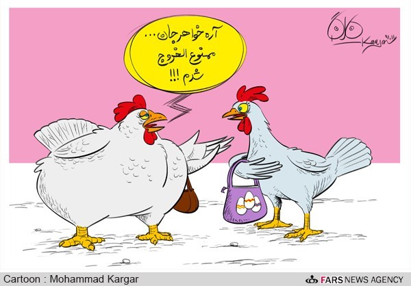 ممنوعیت صادرات مرغ برای تنظیم بازار داخلی
