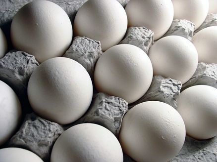 صادرات تخم مرغ تا سقف سه هزار تن آزاد شد