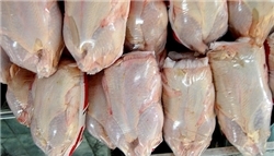 تأمین 300 تن مرغ منجمد برای توزیع در نوروز 92