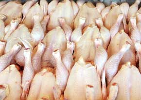 افزایش 200 درصدی تقاضای گوشت مرغ