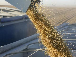 افزایش قیمت نهاده‌های تولید مرغ