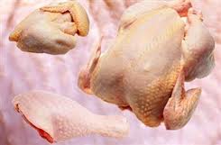 عرضه مرغ بدون آنتی‌بیوتیک هر کیلوگرم پنج‌هزار و 800 تومان