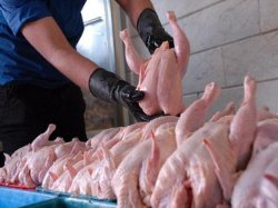 نوروز امسال دو هزارو 700 تن گوشت مرغ در هرمزگان توزیع شد