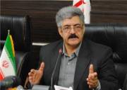 پروار سریع مرغ‌های گوشتی به‌خاطر نوع نژاد است، نه هورمون