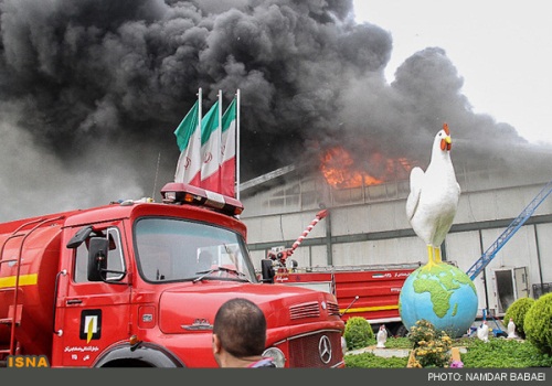 مرغ هایی که سوختند / گزارش تصویری