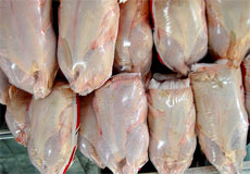هزار تن گوشت مرغ در خراسان شمالی ذخیره سازی شد
