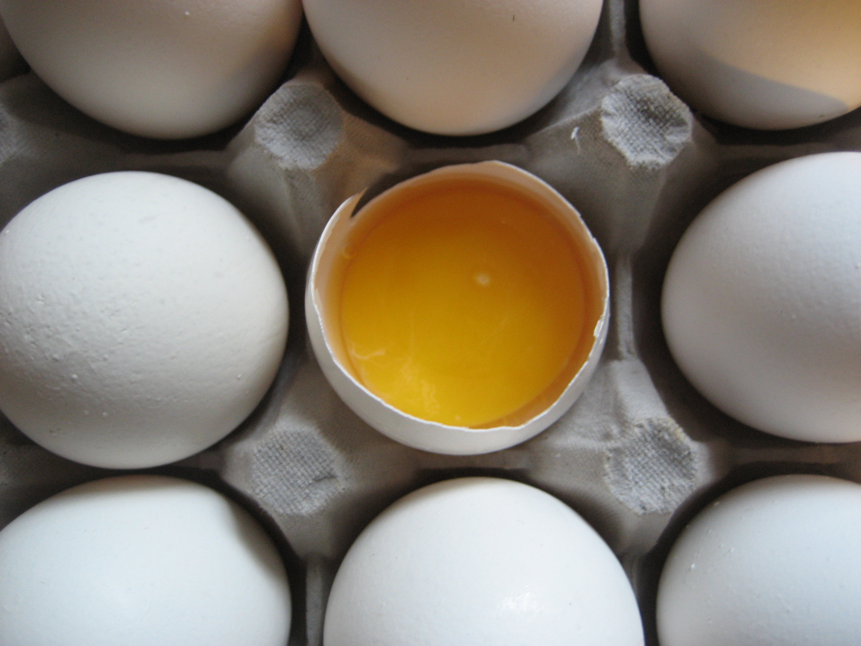 ظرفيت توليد ساليانه تخم مرغ در خراسان رضوي بيش از 79 هزار تن است