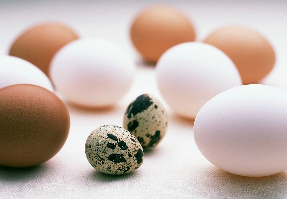 تخم‌مرغ یا تخم پرندگان؟