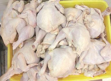 3 هزار کیلوگرم گوشت مرغ فاسد در لرستان معدوم شد