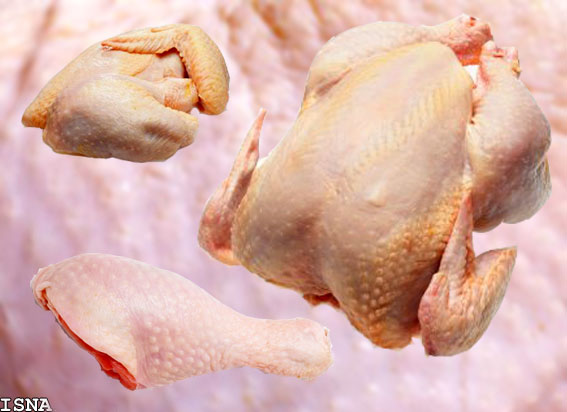 عرضه مستقیم گوشت مرغ ارزان در آستانه ماه رمضان