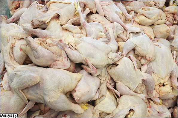 7564 كيلو گوشت مرغ غيربهداشتي دليجان معدوم شد
