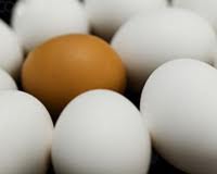رشد چهار درصدی تولید تخم‌مرغ در اوکراین